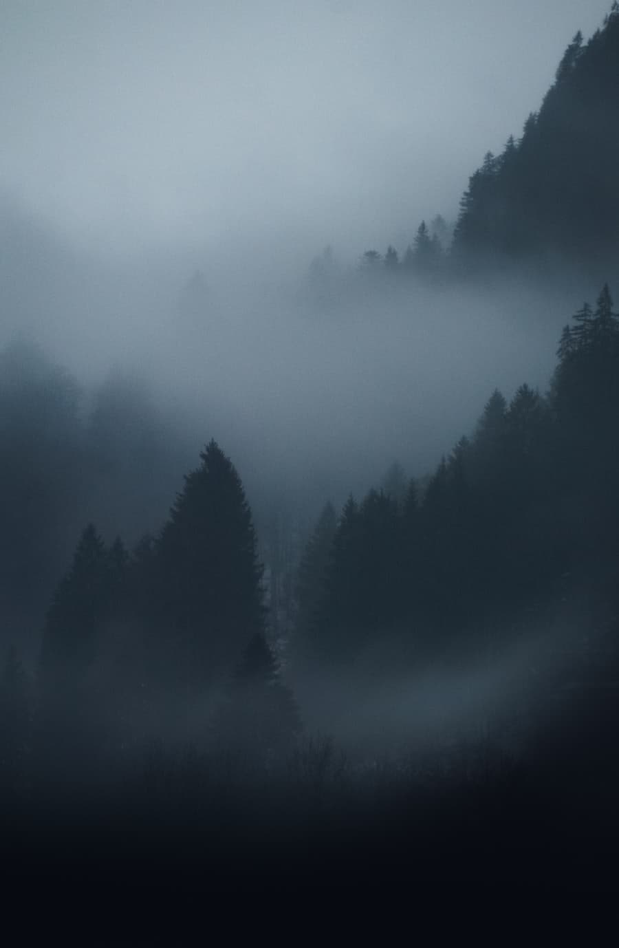 Sommets dans la brume